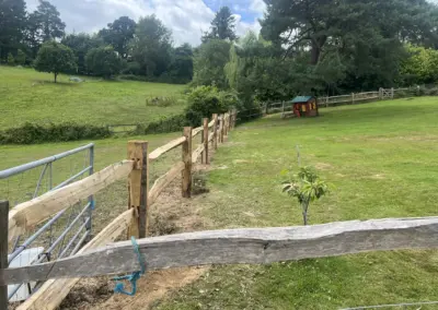 fencing company East Sussex and kent